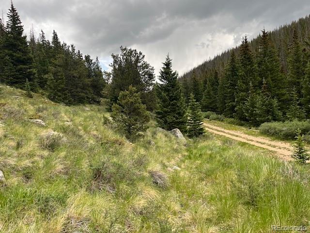 6650 Forbes Road