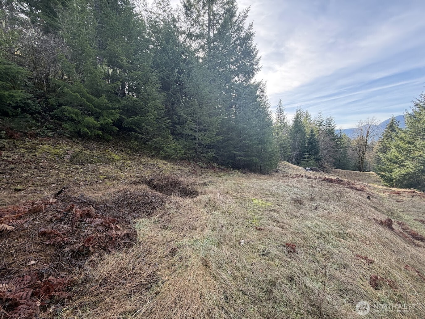 Build your dream mountain retreat on this desirable vacant lot in The Summit at Timberline. Surrounded by mature evergreens, this property offers a peaceful, forested setting on a cul-du-sac in one of Packwood’s most sought-after communities.This build-ready lot features water hookup onsite, and valuable due diligence has already been completed, including a geotechnical report and survey—saving both time and expense for the future owner. Enjoy year-round recreation with easy access to hiking, biking, fishing, and skiing at White Pass.The HOA amenities include swimming pools, tennis court, playground, community building, and river access, enhancing both lifestyle and long-term value. Whether you’re planning a full-time residence, vacation getaway, or investment property, this is an exceptional opportunity to create your own mountain escape in the heart of the Pacific Northwest.