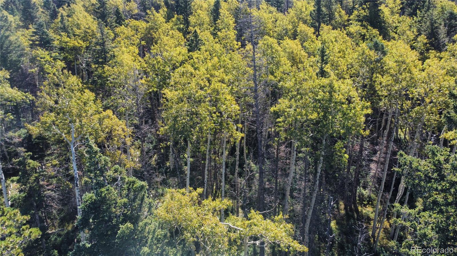 Lot 2652 Petito Drive