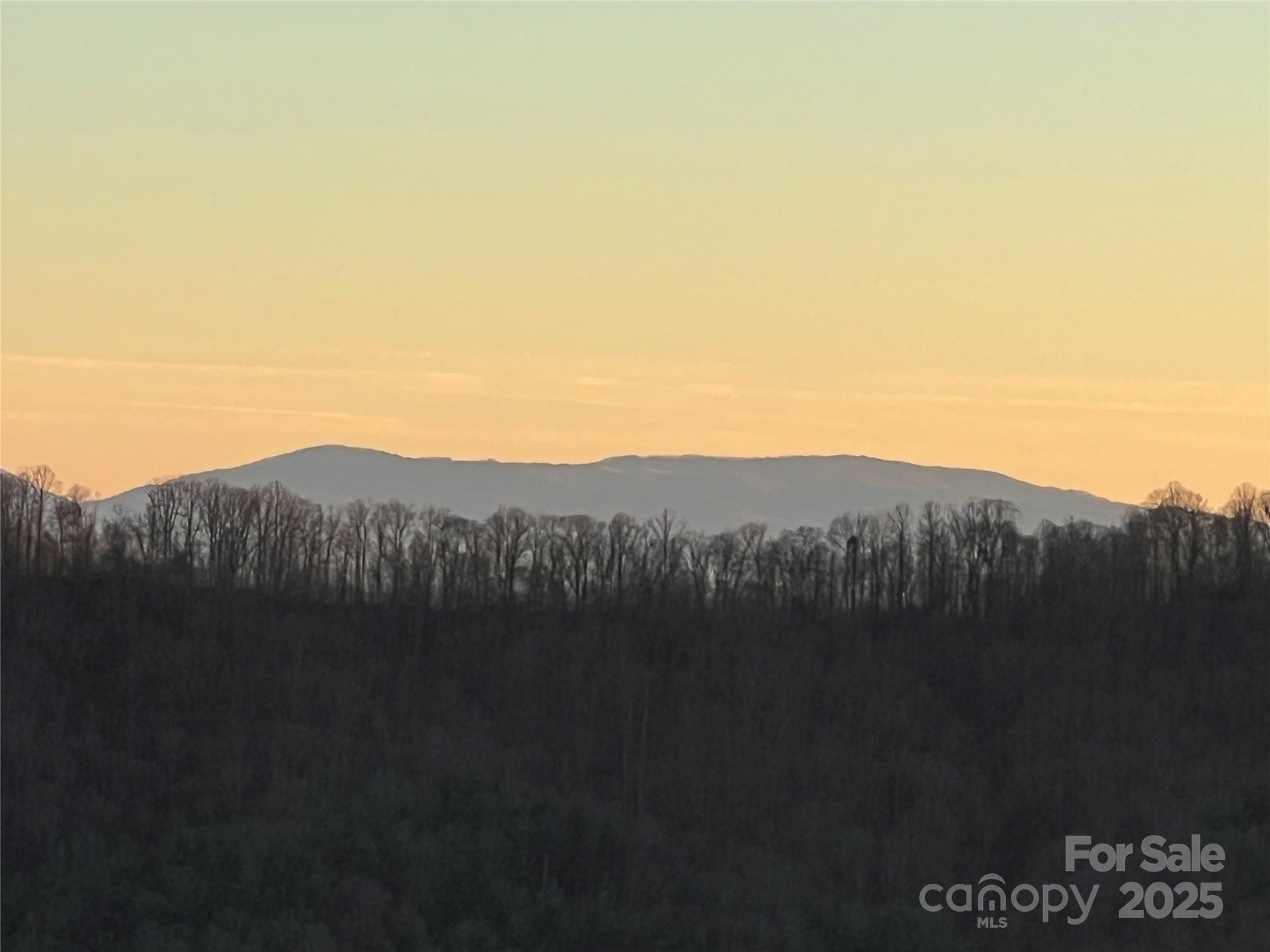 TR 14 Blackberry Ridge