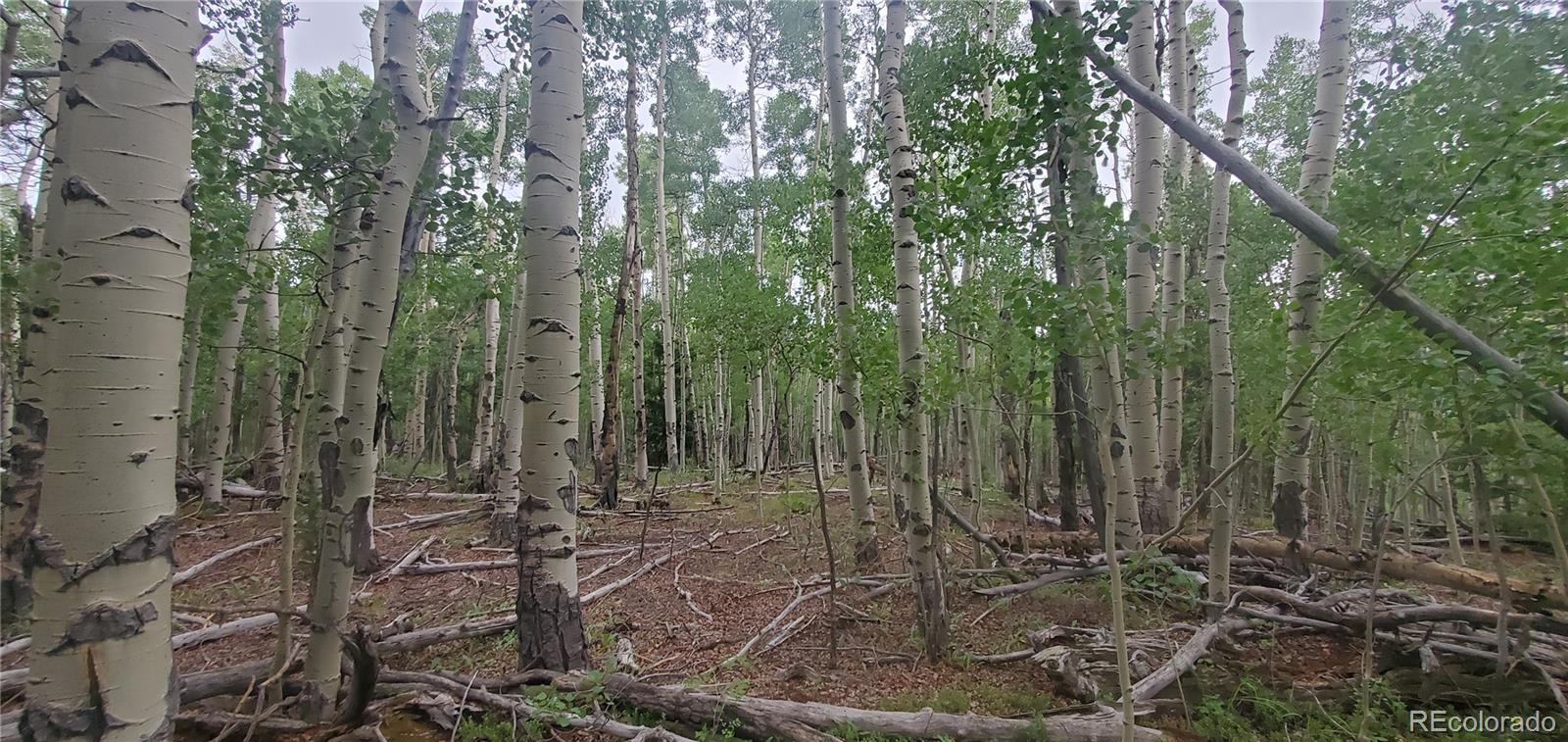 Lot 5837 Sheldon Road