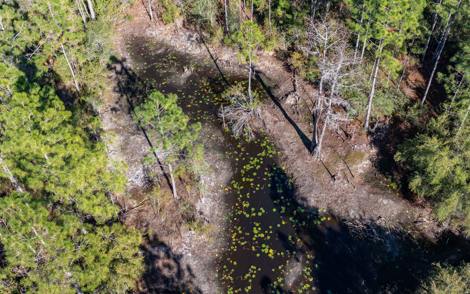 1032 SW Van Buren Rd