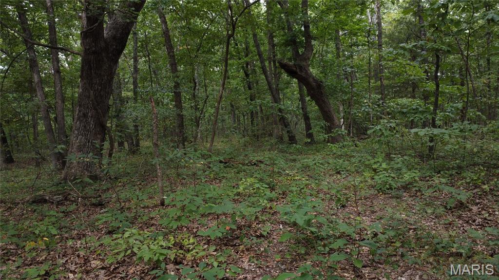 10223 San Juan Trail