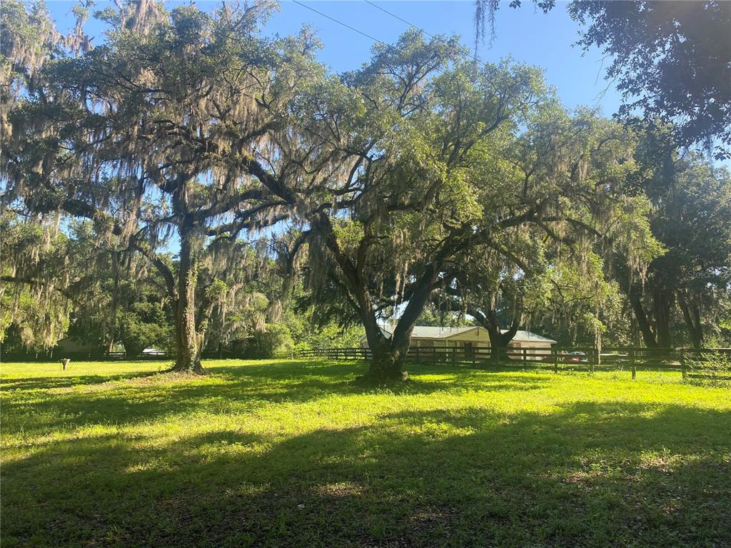 Farm for sale in Reddick, FL 8695 NW 130Th Street Showcase Properties