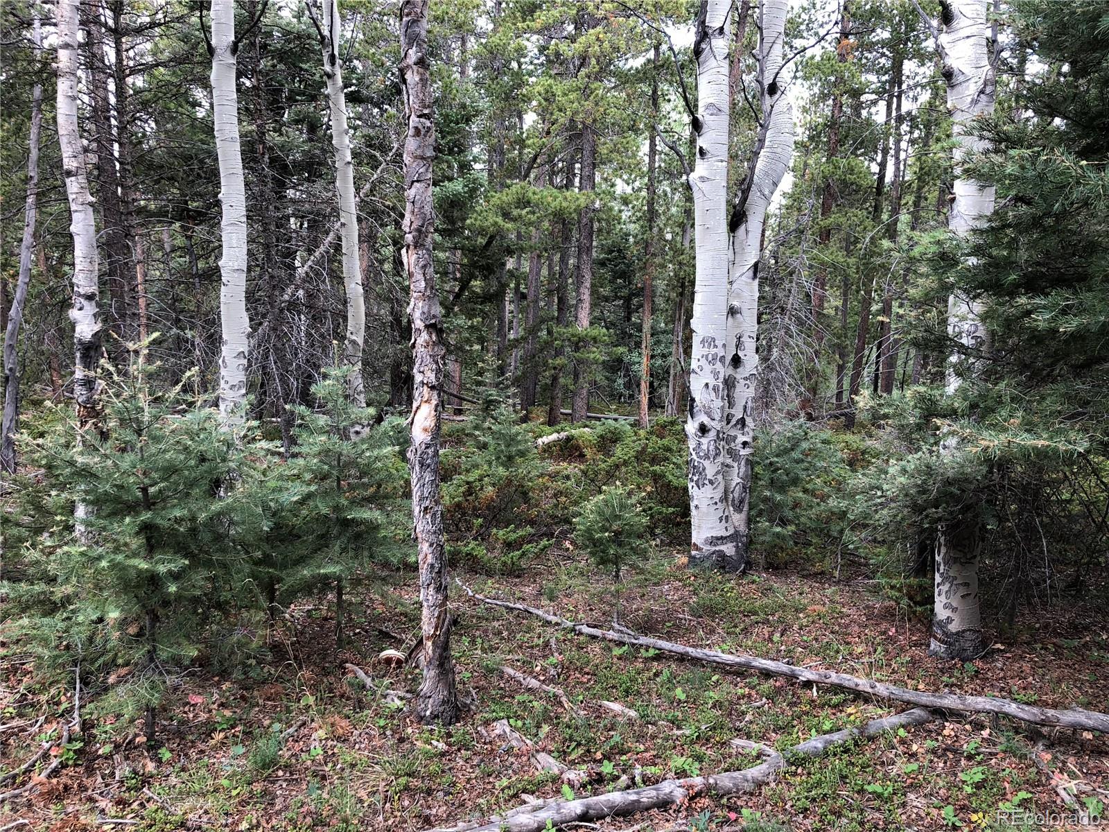 Lot 174 Ferris Place