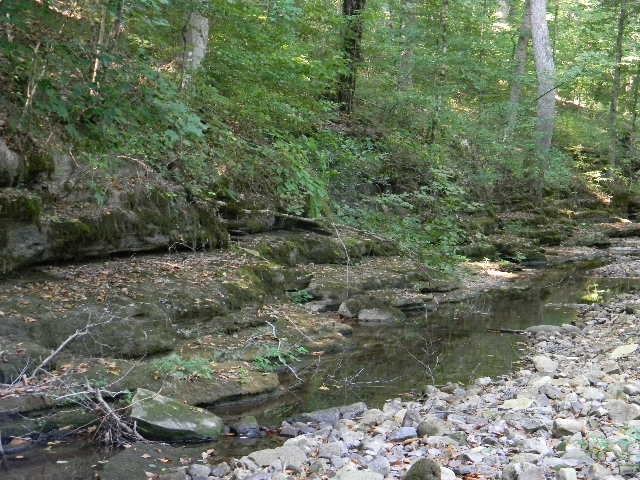 0 Traylor Branch Road