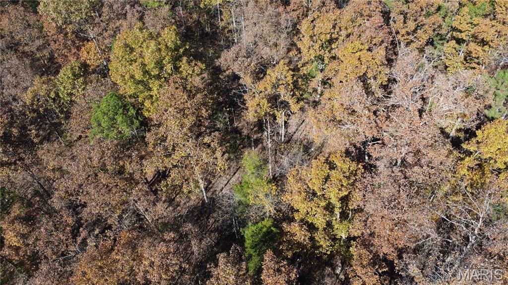 10256 Christina Trail