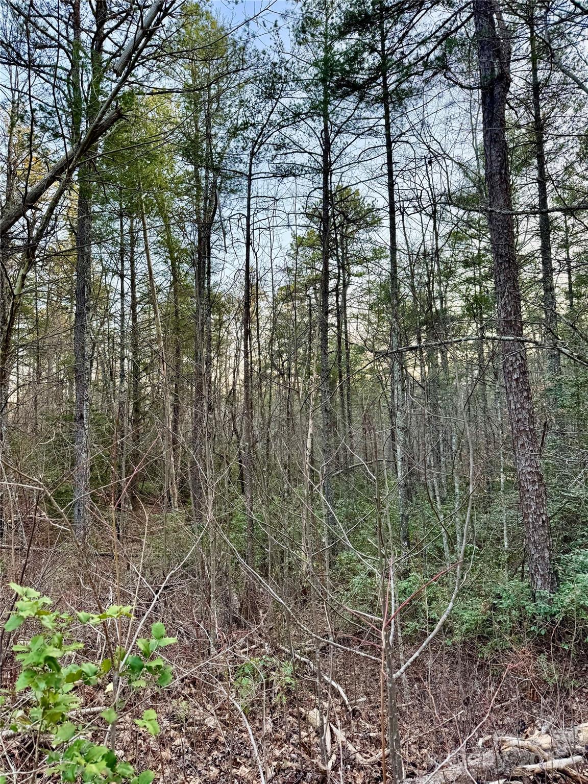 TBD Quiet Creek Lane