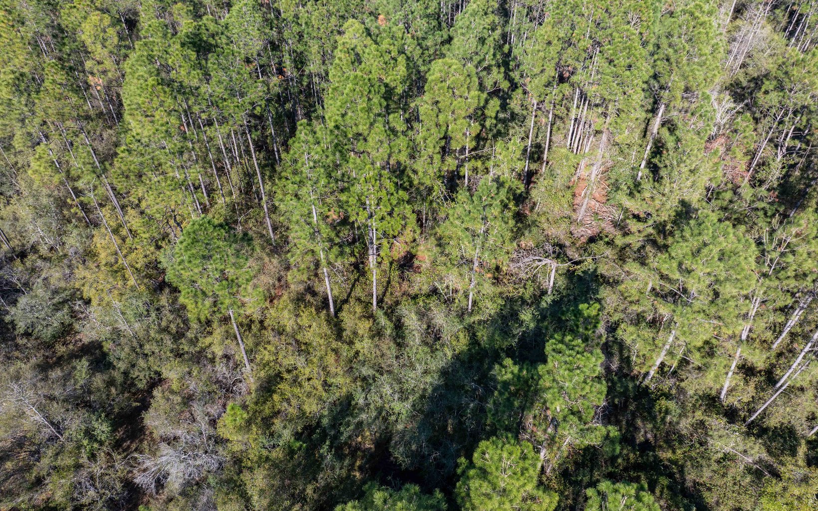 1032 SW Van Buren Rd