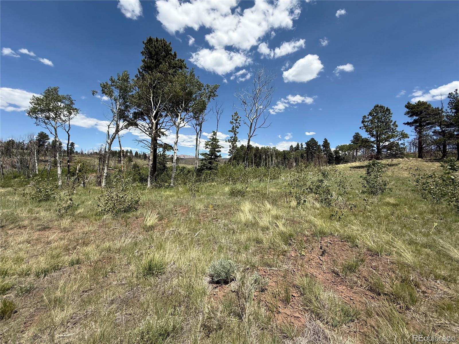 Lot 1103 Emery Loop