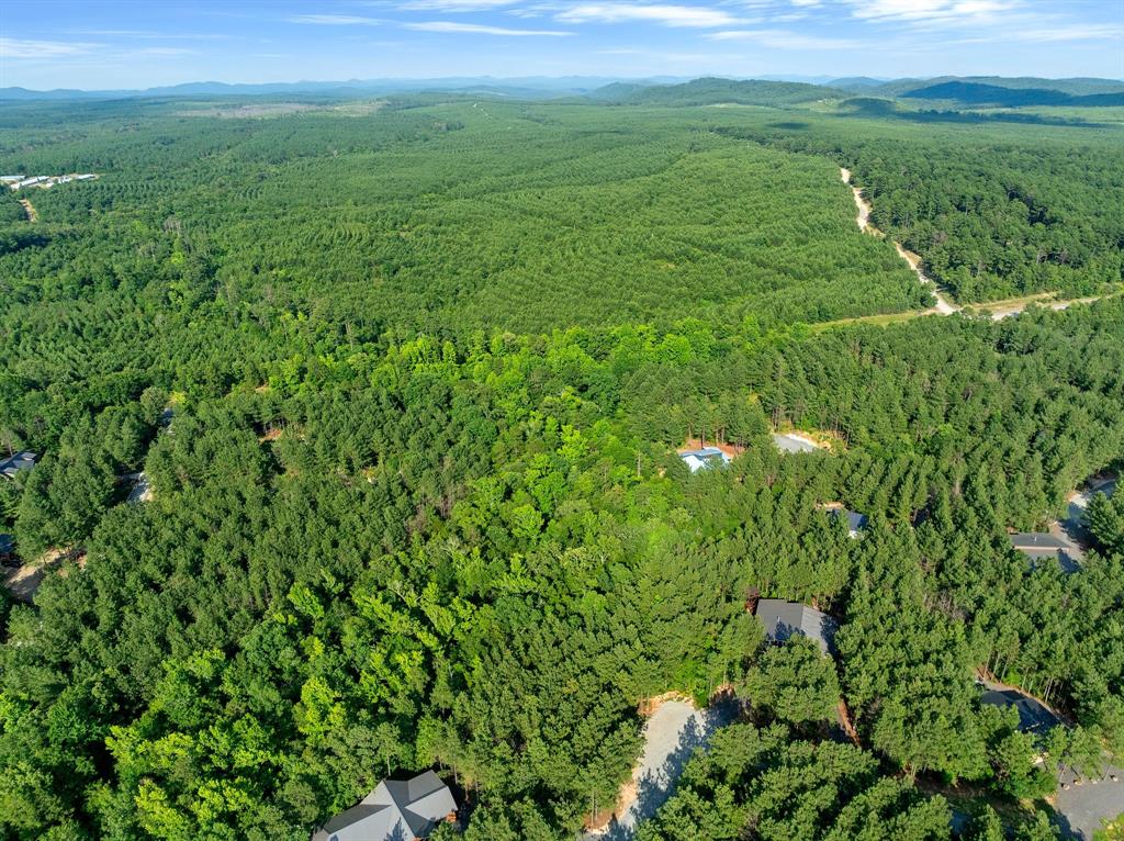 66 Aged Acacia Trail