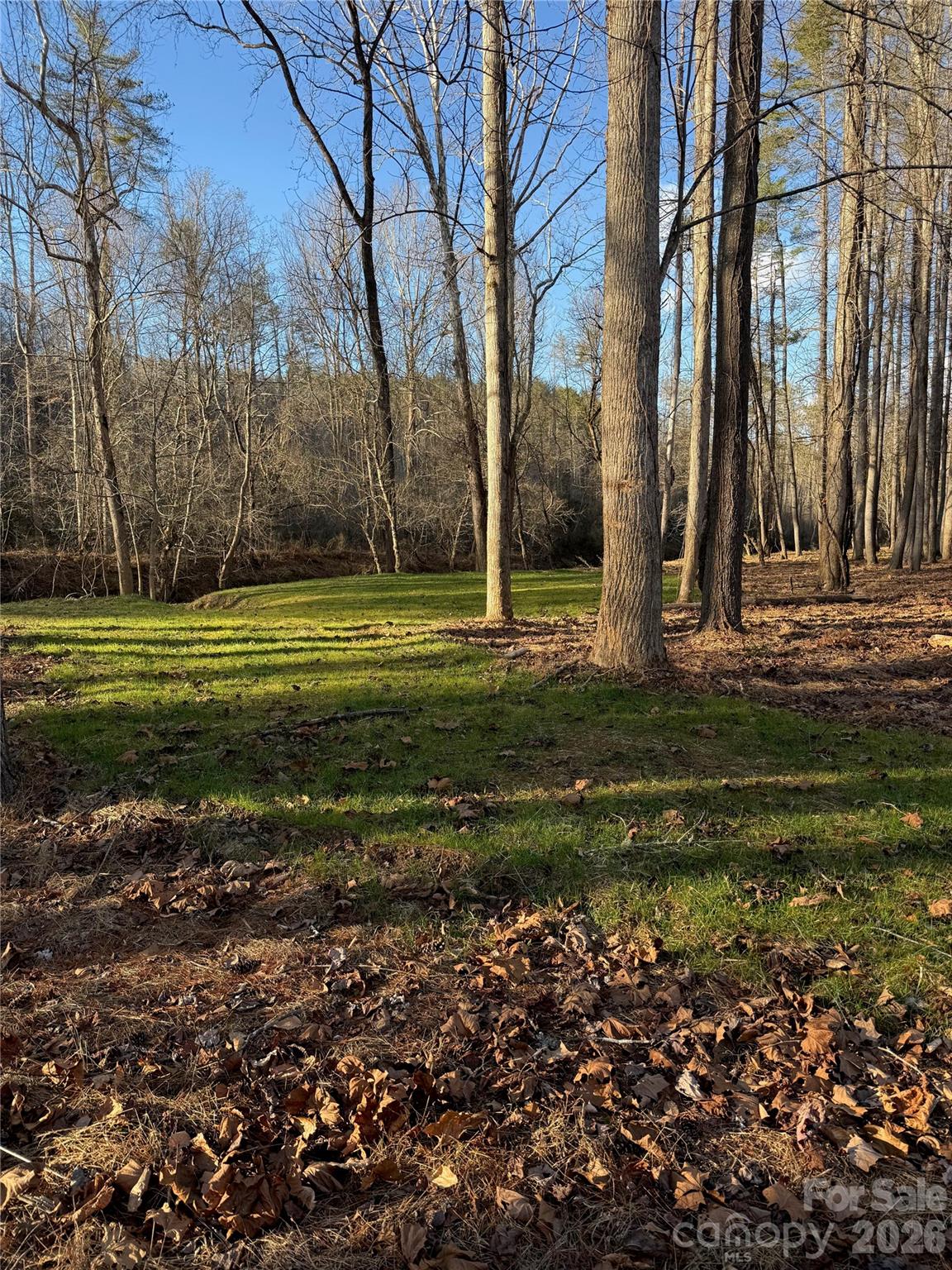 5915 River Hollow Trail 758