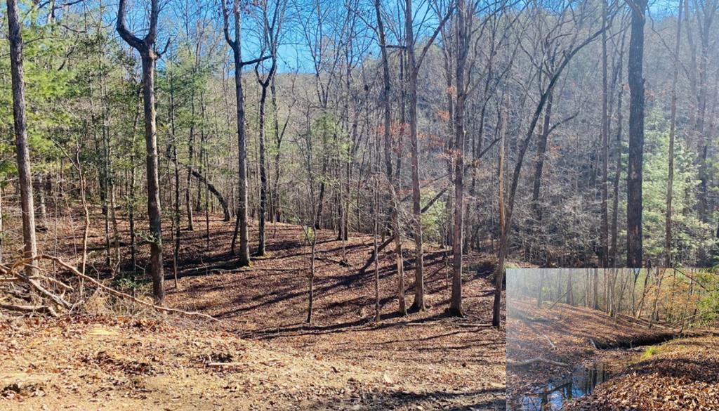 Ready to build lot with a CREEK!! This gentle laying property comes with a 2 BEDROOM SEPTIC SYSTEM INSTALLED. Nice, maintained community access roads in the desirable Martins Creek Area. End of the road cul-de-sac location & underground utilities with fiber optics available. Come enjoy the mountain life and watch the creek flow from your new build. Sellers house plan available upon request.