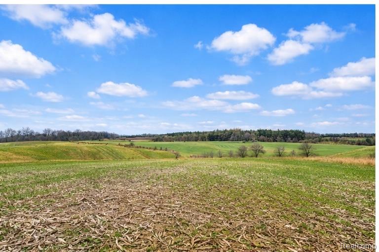 Rare opportunity to own a 280-acre farm near Kingston in Tuscola County featuring approximately 240 acres of productive tillable farmland. The property includes two homes, newer tool sheds, beautiful rolling hills, a pond, and a wooded area with harvestable timber that provides excellent wildlife habitat and hunting opportunities. With strong agricultural income potential, great road frontage, and recreational appeal, this property offers a premier farm and land investment. All Parcels included in this sale. 005-004-000-1300-00, 005-004-000-1100-00, 005-004-000-1500-01, 005-004-000-0100-05 The farm is currently planted into winter wheat for the 2026 crop year. 2026 crop rights to be negotiated. The two houses are currently rented on a month to month basis. BTAVAI