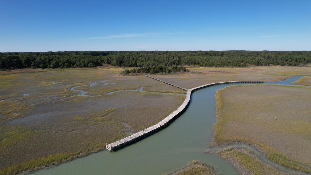 Beautiful 713-acre Oceanside Waterfront Farm & Forest w/extensive seaside shoreline & piers for 20 boats with scenic nature walkways. Adjoins the VA Coast Reserve waterways and barrier islands, with secluded barrier island beaches just minutes away by small skiff. 225-acres of upland fields & forest subdivided into 21 small farm/residential parcels from 11 to 30 acres each for flexible ownership or development. Docks for each lot. Includes a 348-acre marsh Island with oyster grounds, creeks and ideal waterfowl hunting. It has 7,000 feet of gravel roads & underground power to serve all of the property. Lot 1 is sold & is occupied. Zoning is ES/R-A1 (AG). A great Hunt club property or family estate. Excellent deer, turkey, small game and waterfowl hunting. See land summary link
