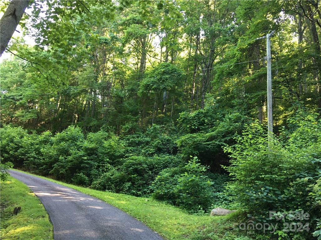 TBD Red Oak Forest Road