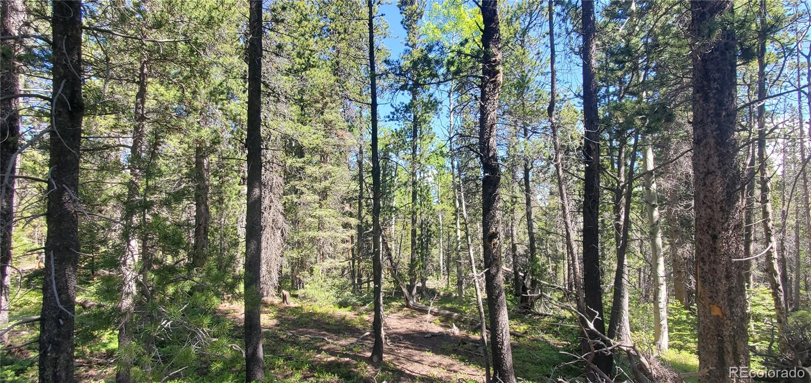 Lot 2914 Forbes Loop
