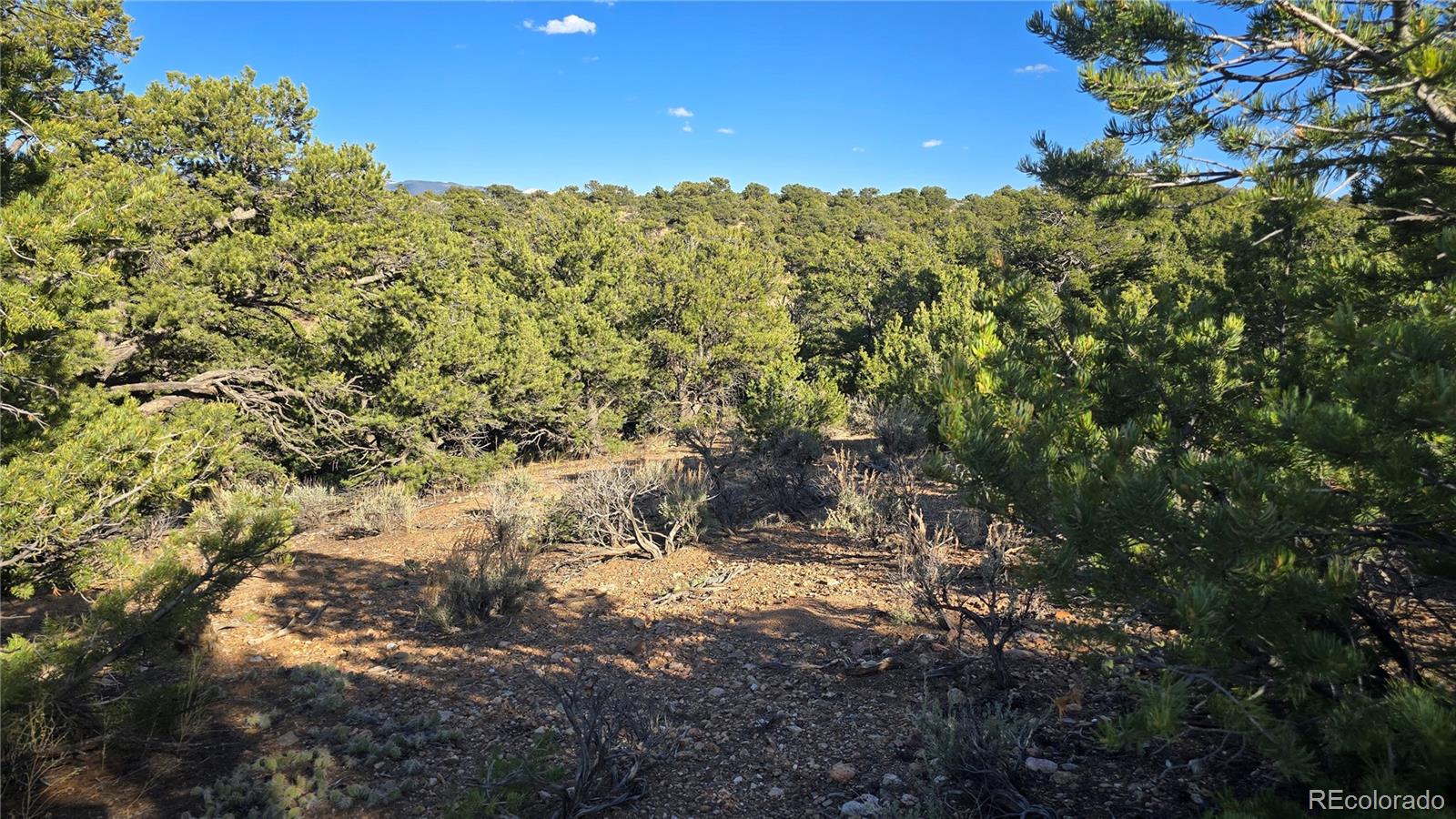 Lot 3886 & 3887 Galloway Road