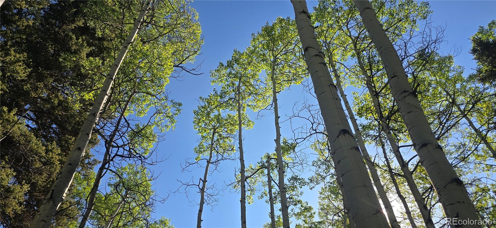 Lot 6385 Jaquez Road