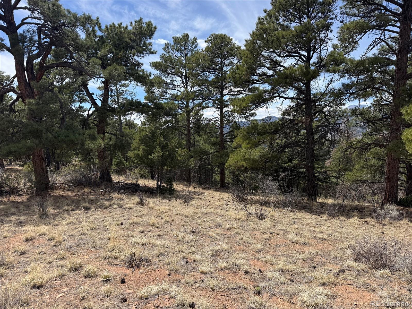 Lot 152 Tahmoush Lane