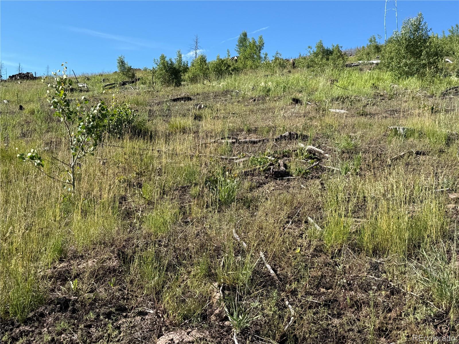 Lot 775 Forbes Park Road