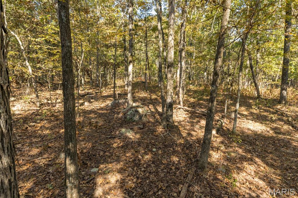 12.5+/- Acres On Effin Road