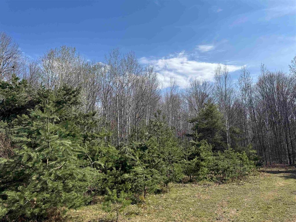 This 38+/- acre wooded parcel is a rare find for hunters, outdoor enthusiasts, and anyone searching for a private recreational retreat in Michigan. The property is heavily timbered with mature trees, natural wildlife openings, and established game trails throughout Ã¢â‚¬" prime habitat for whitetail deer, wild turkey, and small game across every season. What sets this property apart from comparable vacant land listings is the combination of a private driveway already in place and direct access off a paved road just minutes from the US-10 highway off-ramp. Getting here is effortless Ã¢â‚¬" no dirt two-tracks, no seasonal road headaches, just a smooth drive right to your land. The timber diversity and natural terrain create outstanding bedding and browse areas, making this a high-quality recreational property for archery, firearm, and muzzleloader seasons alike. The land also presents a strong opportunity as a future cabin site, off-grid retreat, or long-term investment in Michigan's growing rural land market. Convenient highway access combined with 38 acres of true wooded seclusion is an almost impossible combination to find Ã¢â‚¬" the moment you turn off US-10, the city disappears and the wilderness begins.