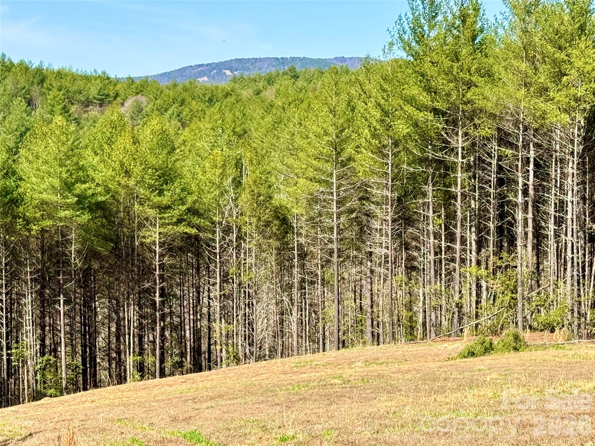 6129 Painted Ridge Trail Lot 739