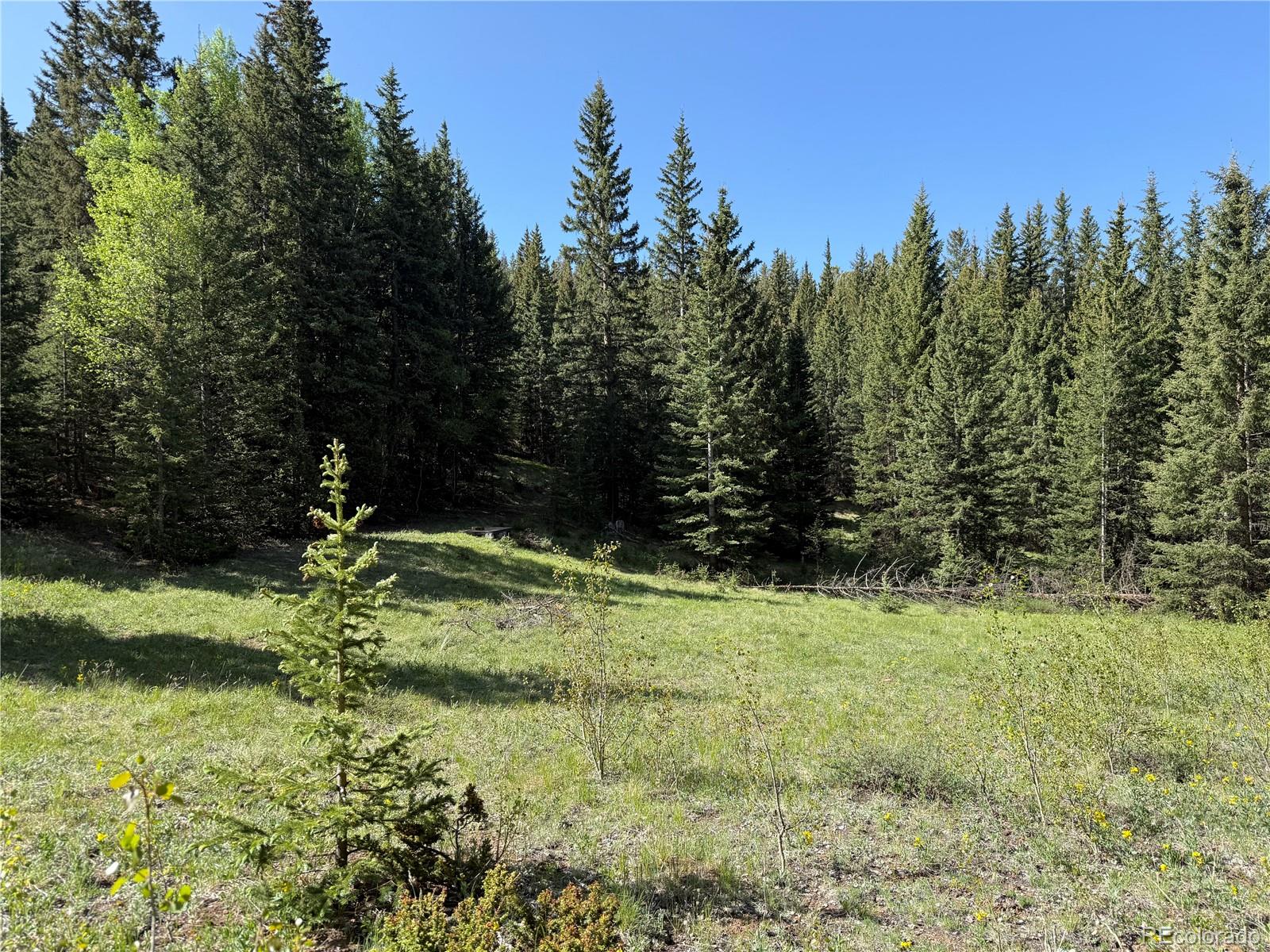 Lot 6843 Ryland Road