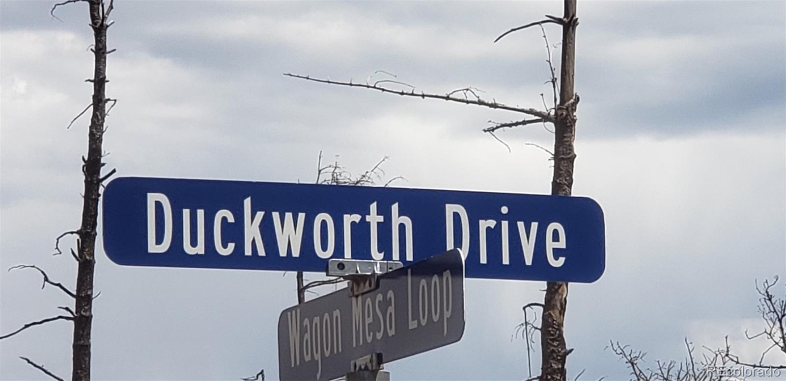 784 Duckworth Drive
