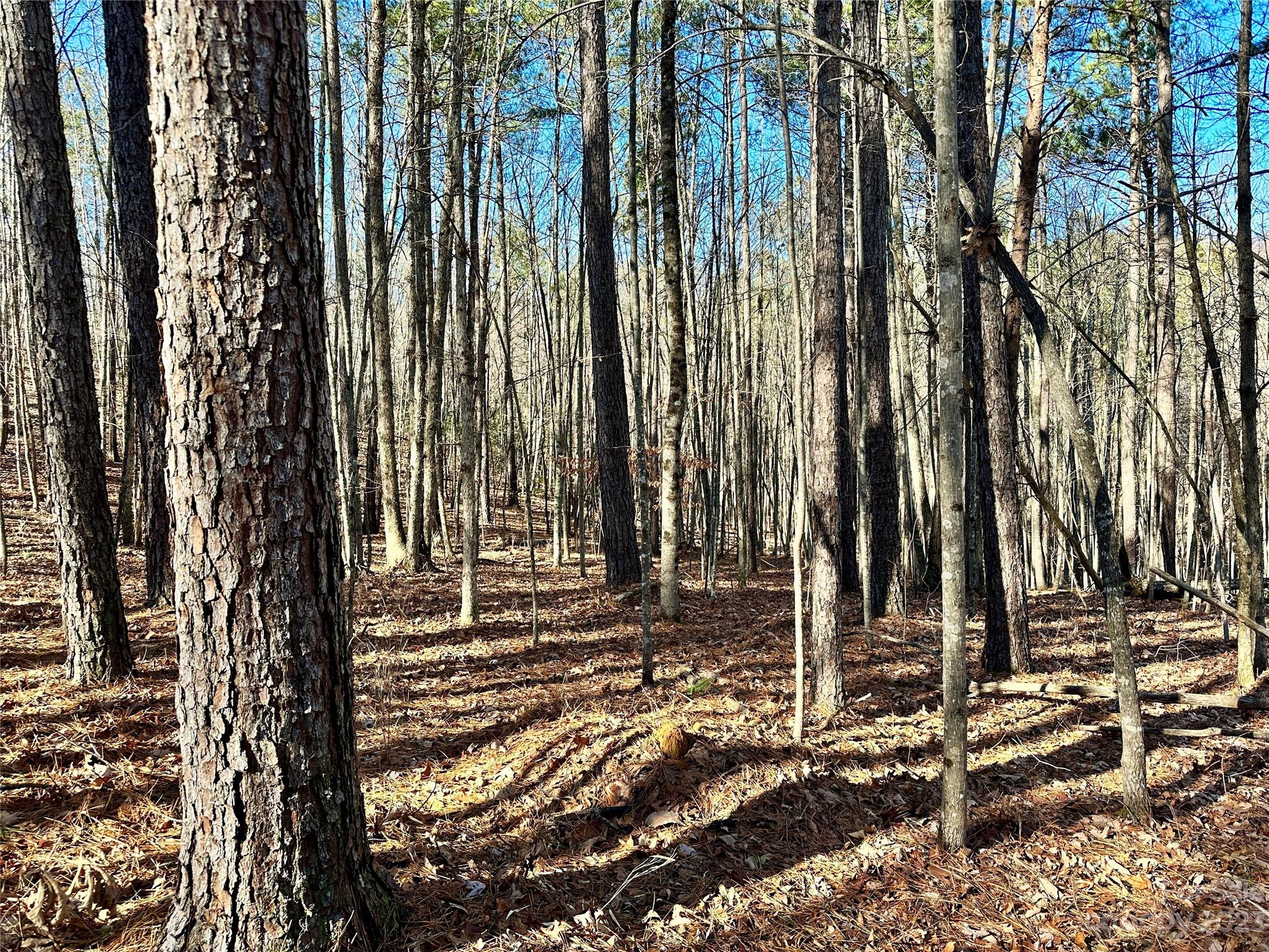 109 Highland Trail 471