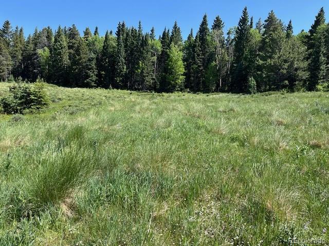 Lot 2684 Coder Place