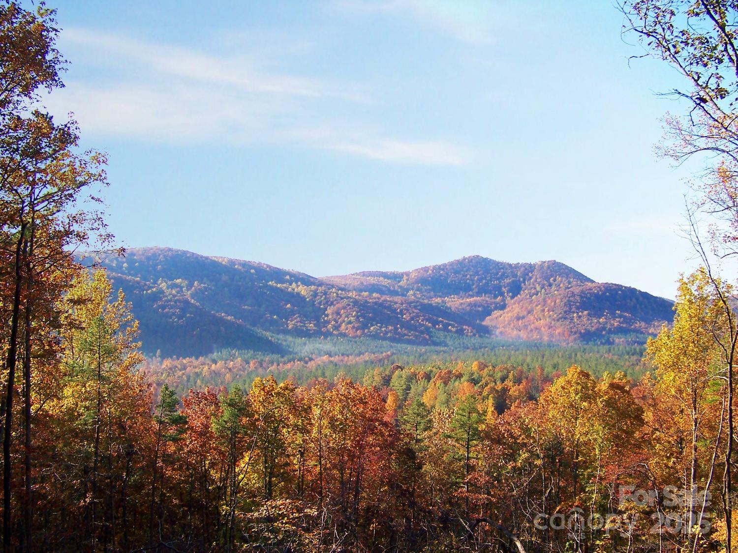 Lot 333 Scenic Vista Drive 333