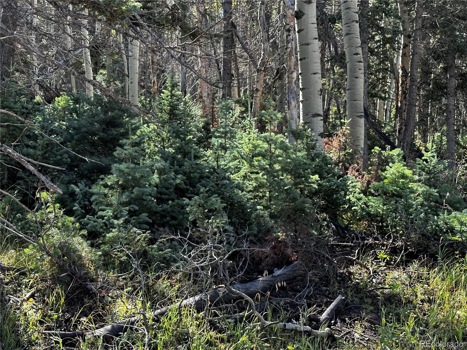 Lot 2652 Petito Drive