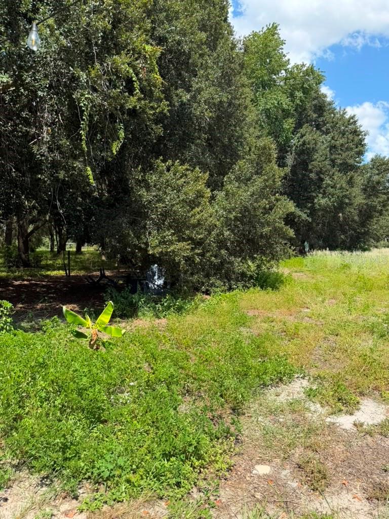 10217 Quinn Road