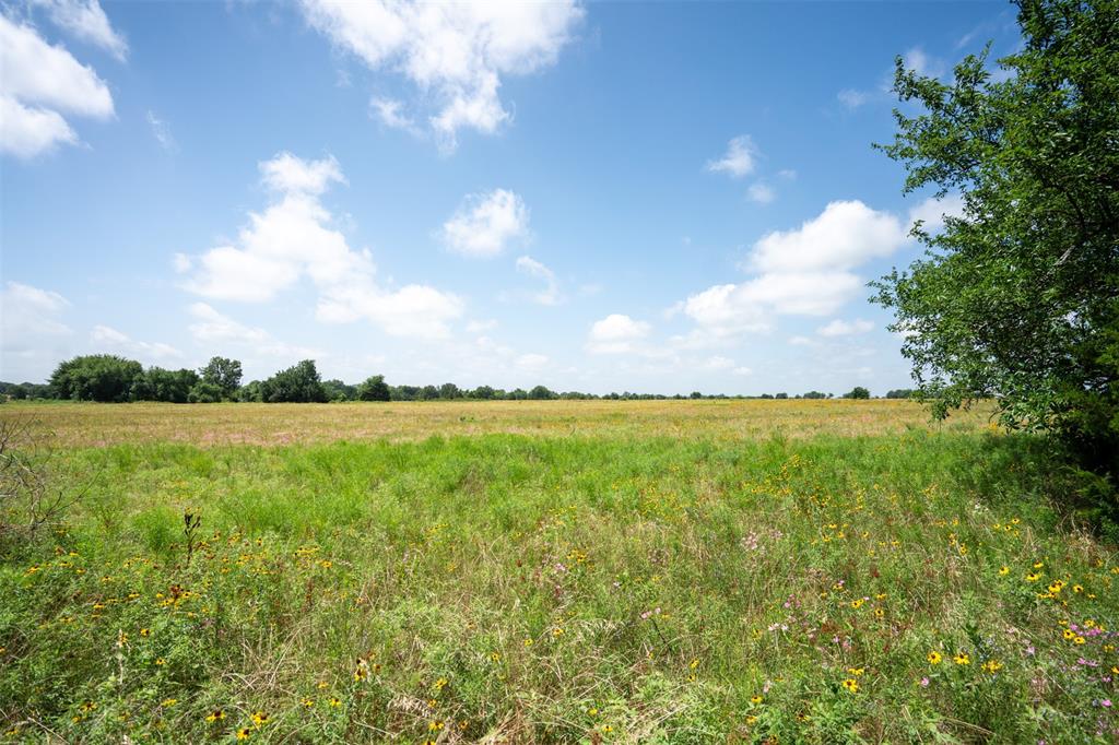 Approximately 70 acres located off Hwy 82 road frontage. This property is located in the ETJ near 121 and Hwy 82 intersection. property is ready for the right buyer with endless development opportunities.