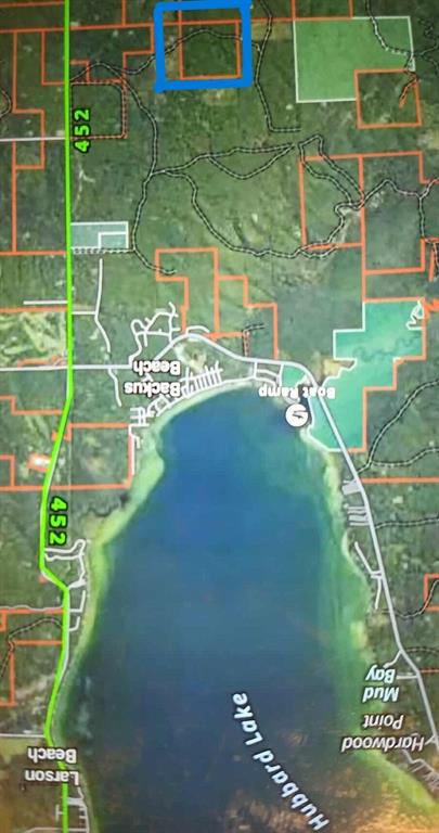 1/2 square mile of ''Pure Michigan's finest''. This prime Hunting/Recreational property is an absolute perfect location for a family compound, has that remote ''U.P. feel'' but yet very geographically desirable. Located on the ''doorstep'' of fabulous Hubbard Lake, enjoy ''World Class'' hunting and fishing. Approximately 10 acres of hardwoods plus large band of hardwoods around entire perimeter to insure privacy. Trails throughout, plus large food plot. Current owner of 60 years with all splits remaining and nearby electricity affords unlimited future development options. Current use is Hunting,Recreational.