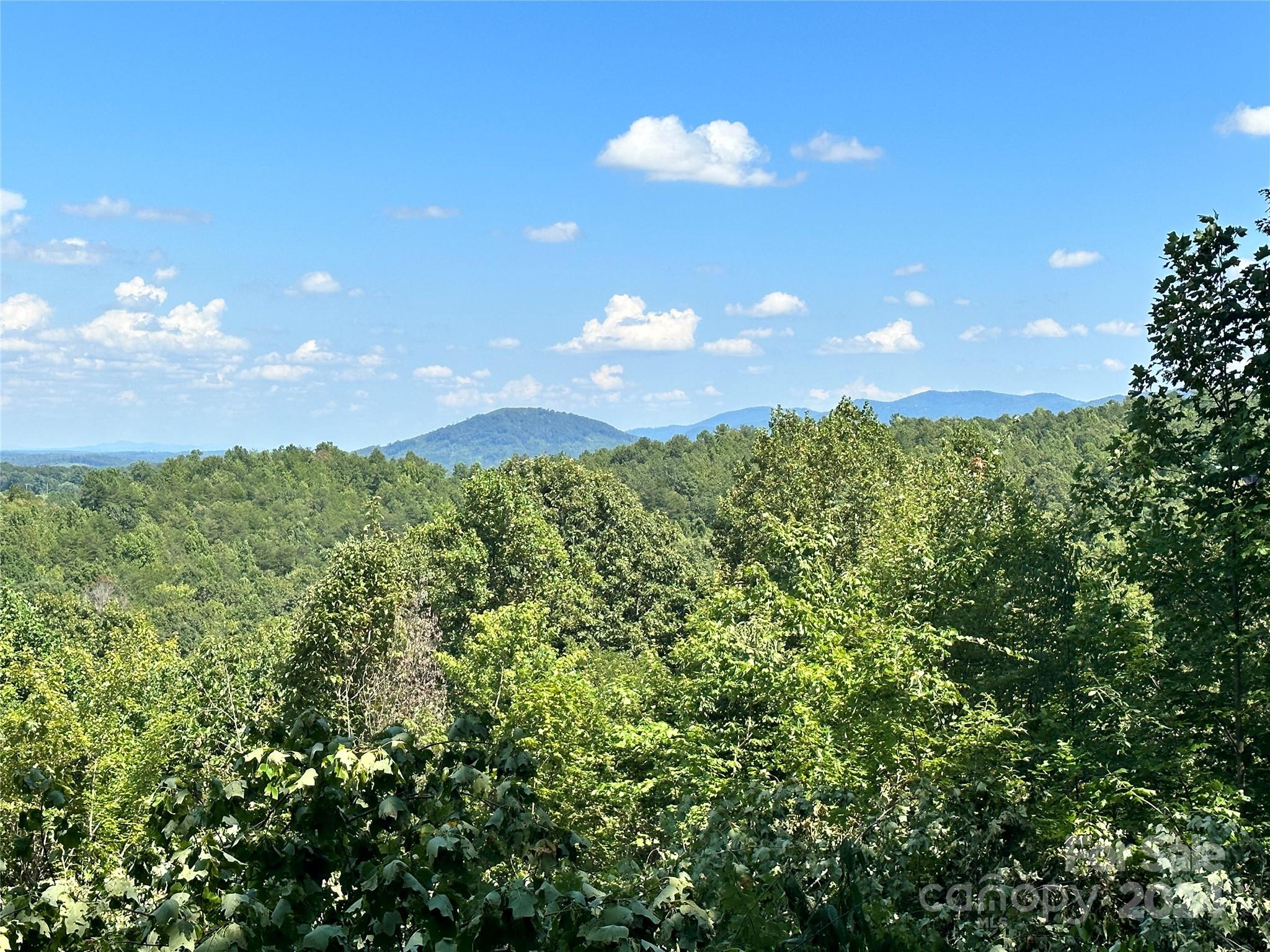 65 Serene Trail 461