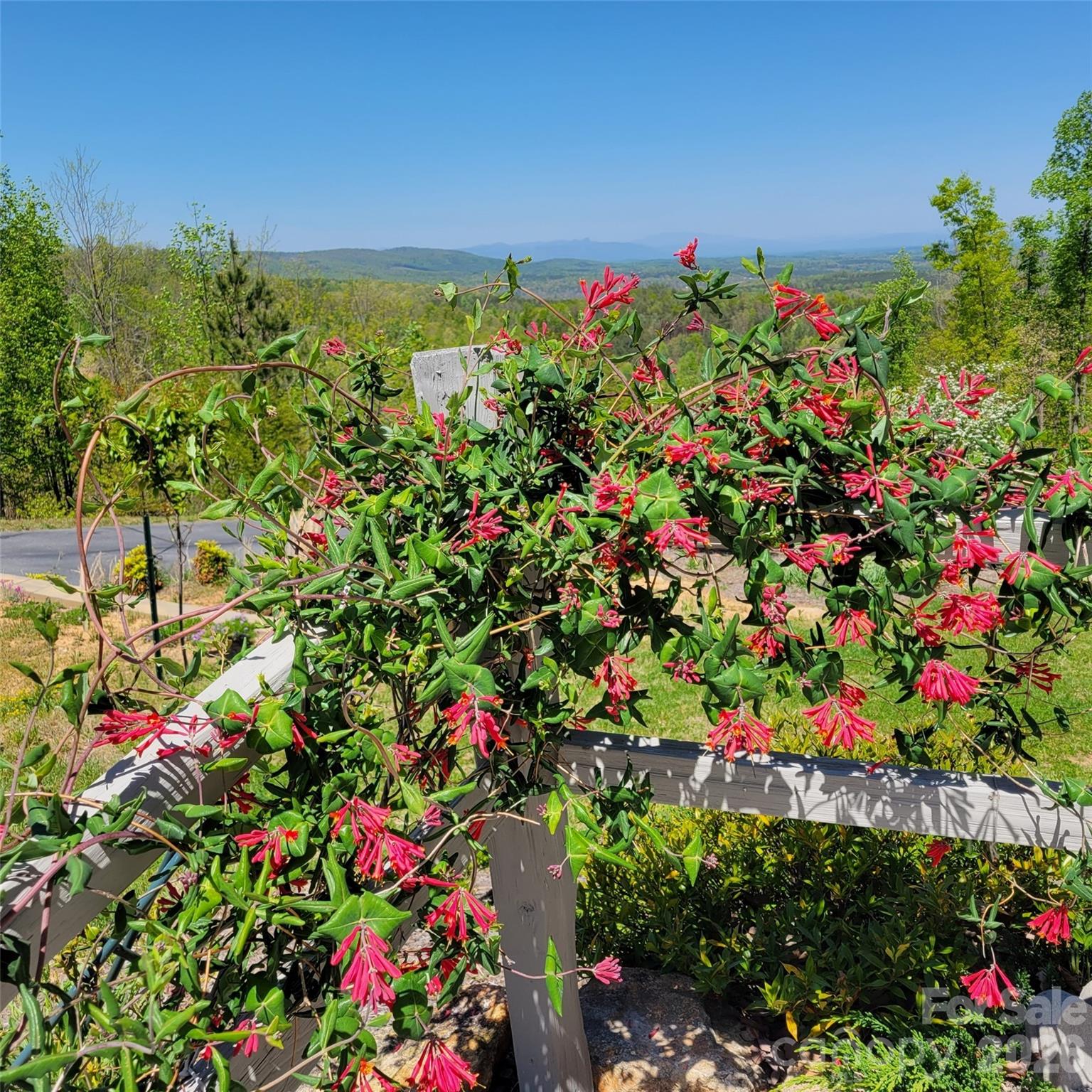 2262 Grandview Peaks Drive