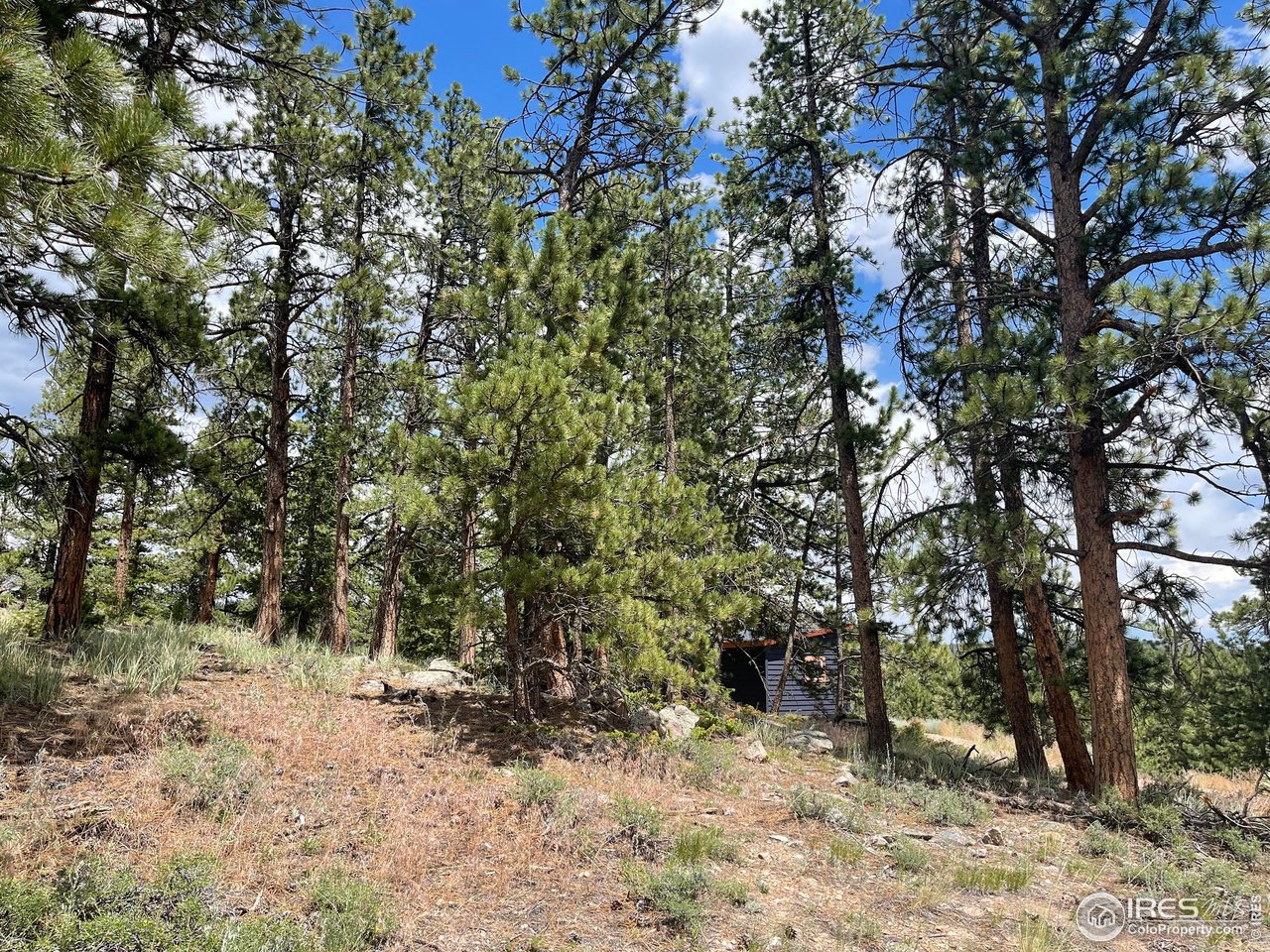 416 Comanche Cir