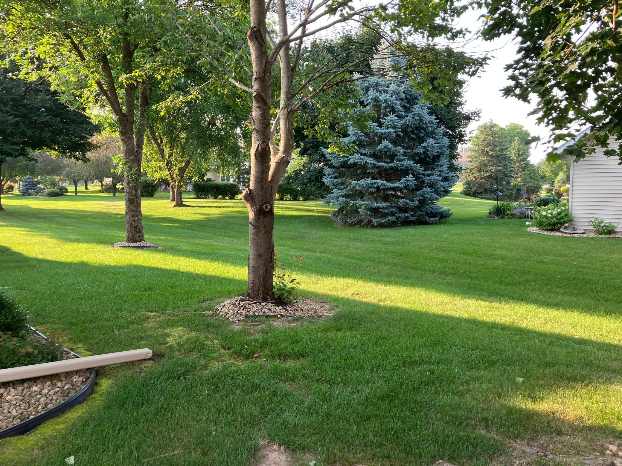 611 Cherrywood Court
