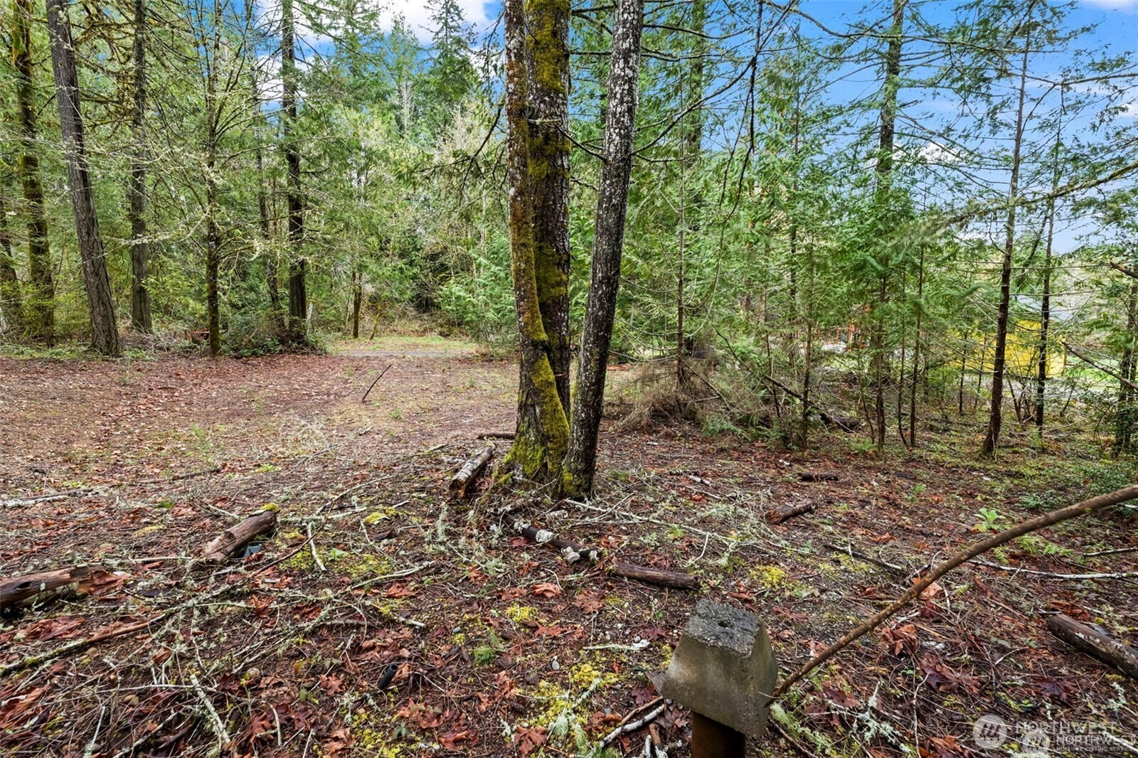 680 E State Route 302