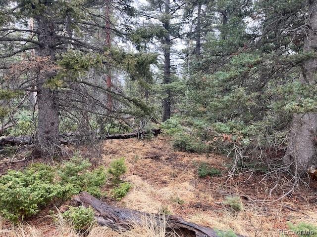 Lot 3091 Sterenson Place