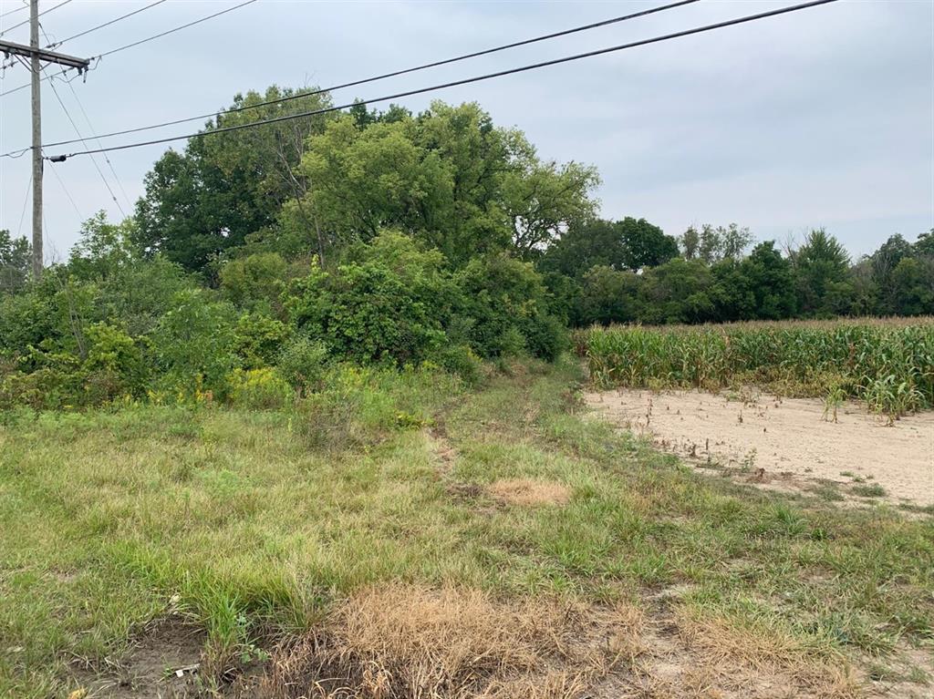Choice parcel off Whittaker Road, with frontage on both Martz and Merritt Roads. the land could be redeveloped for a variety of uses. Rezoning will be required.(div)The property is located in an area close to existing retail, restaurants, grocery stores, and neighborhoods south of I-94, Ford Lake and Ypsilanti.(br)(div)(br)(/div)(/div) Current use is Farm.