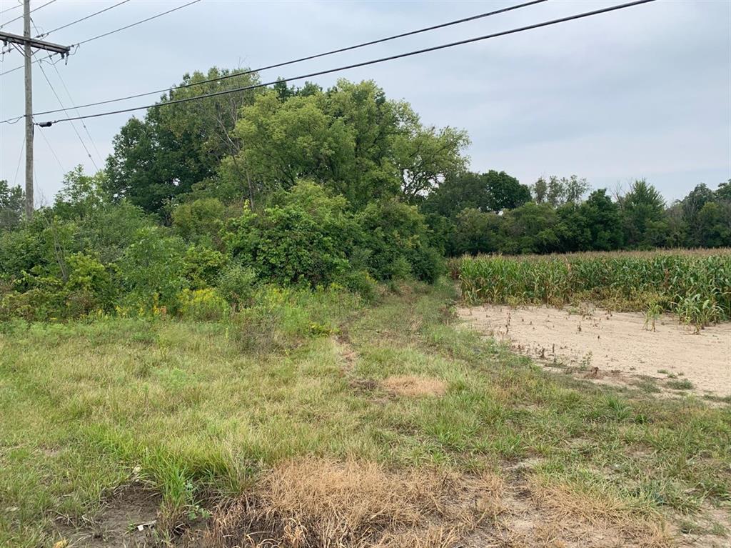 Choice parcel off Whittaker Road, with frontage on both Martz and Merritt Roads. the land could be redeveloped for a variety of uses. Rezoning will be required.(div)The property is located in an area close to existing retail, restaurants, grocery stores, and neighborhoods south of I-94, Ford Lake and Ypsilanti.(br)(div)(br)(/div)(/div)