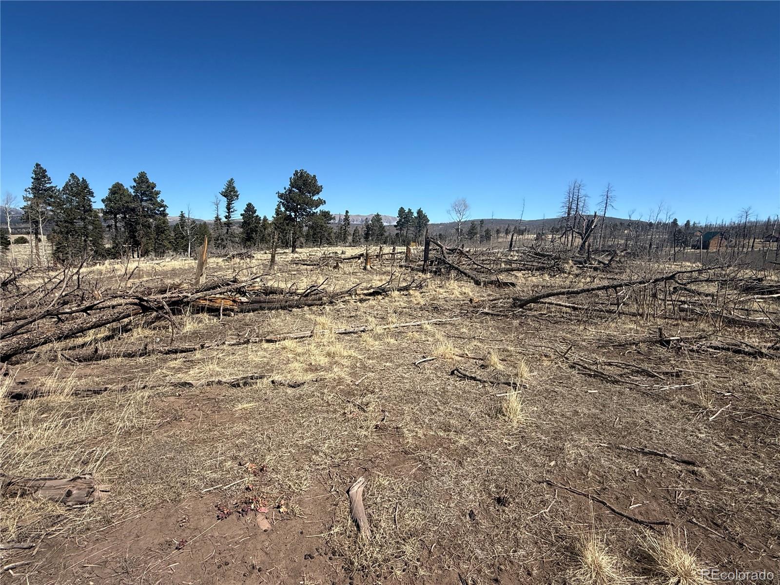 Lot 999 Foy Place