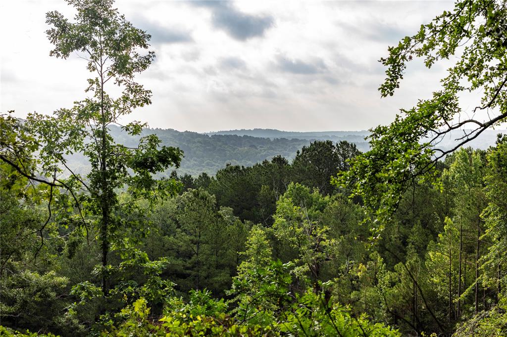 Pine Mountain Reserve – A Legacy Property of Rare Natural Beauty

Just 80 miles from Dallas, Pine Mountain Reserve offers 590 acres of breathtaking rolling terrain, panoramic views, and unmatched serenity. This exceptional legacy property features a large private lake, creating the perfect backdrop for a luxurious retreat or an expansive development.

With added utilities already in place, there’s ample opportunity to expand—whether you're envisioning additional homes, cozy cabins, or a full-scale resort. Every inch of this land invites you to experience nature at its finest, making Pine Mountain Reserve a truly rare and remarkable investment opportunity.