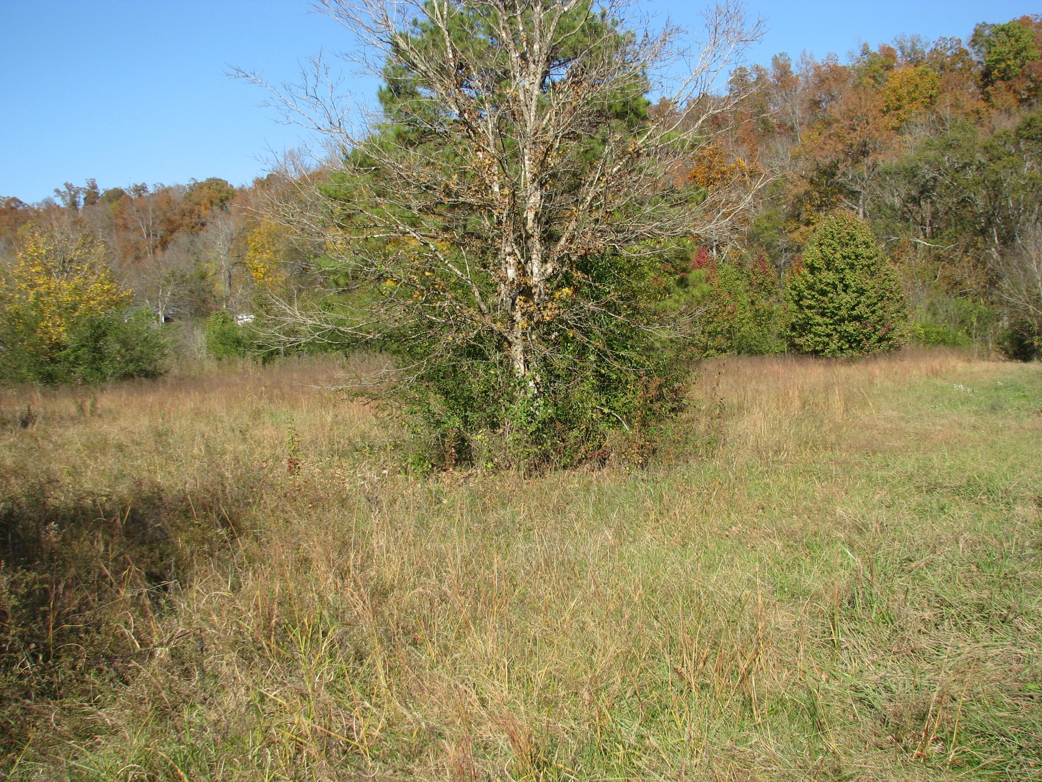 199 Spann Loop