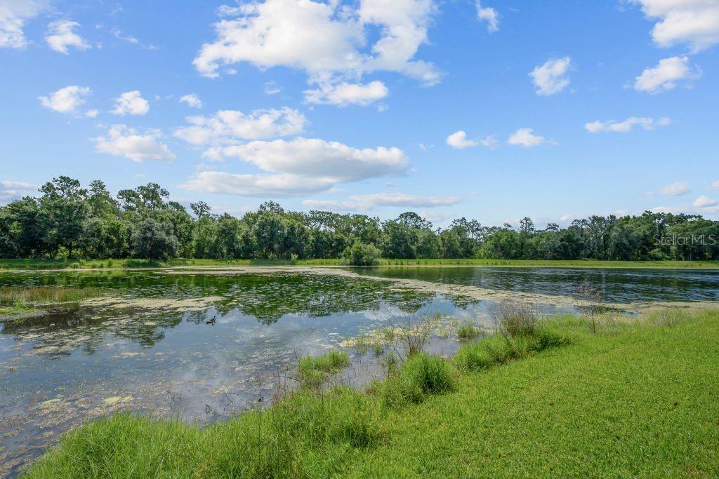 15424 Osprey Glen Drive