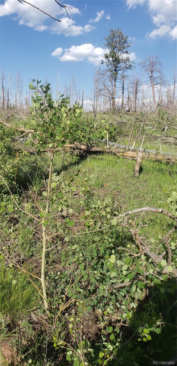 Lot 1406 Emery Loop